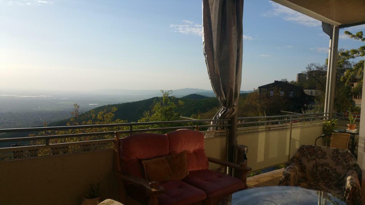 Guest House Evdoshvili St N5 Sighnaghi Zewnętrze zdjęcie