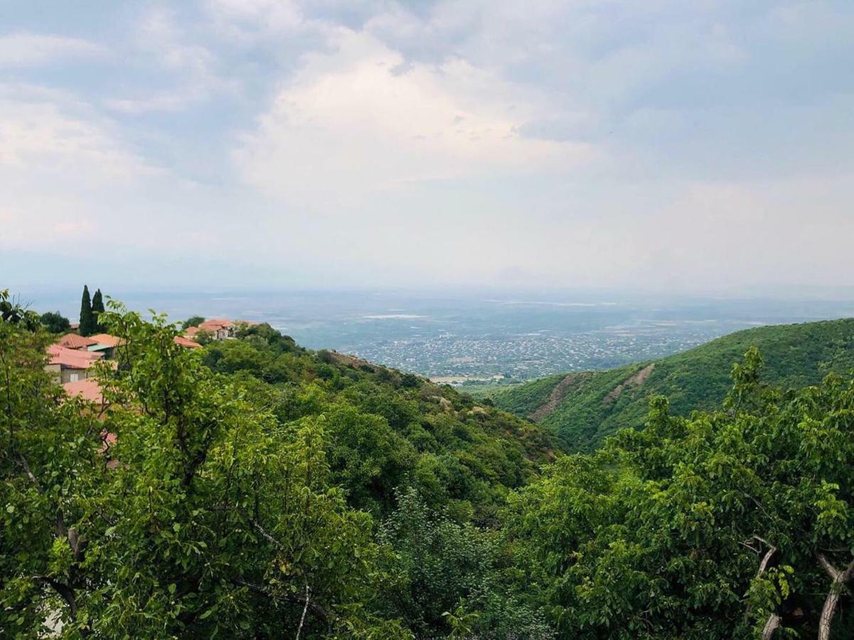 Guest House Evdoshvili St N5 Sighnaghi Zewnętrze zdjęcie