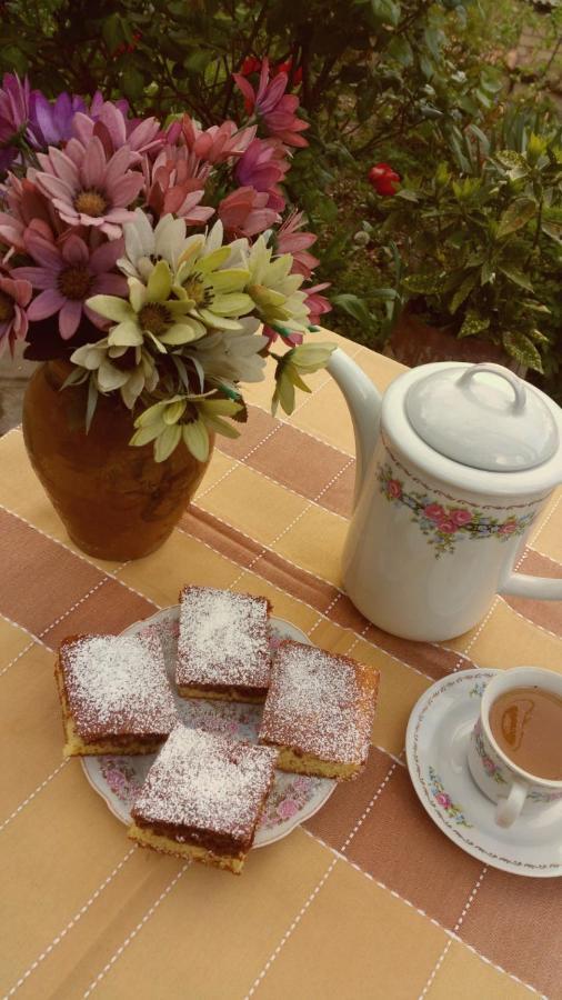 Guest House Evdoshvili St N5 Sighnaghi Zewnętrze zdjęcie